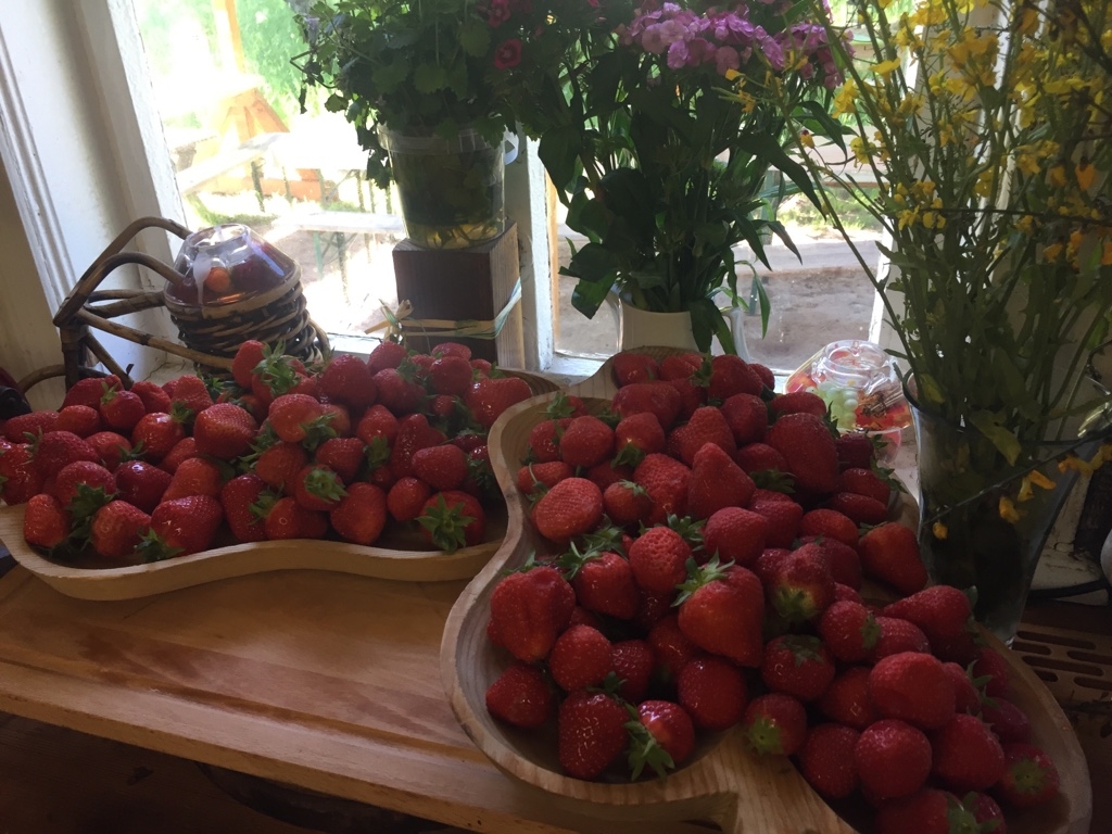 Erdbeercocktail im Spreewald